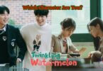 Twinkling Watermelon Quiz